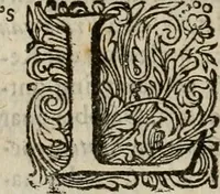 An illustration from Hollands heyll' en rampen ofte desselfs gelukk' en ongelukken : tegens malkanderen vertoond : in twee deelen ... (1686)