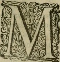 An illustration from Hollands heyll' en rampen ofte desselfs gelukk' en ongelukken : tegens malkanderen vertoond : in twee deelen ... (1686)