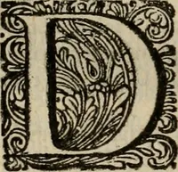 An illustration from Hollands heyll' en rampen ofte desselfs gelukk' en ongelukken : tegens malkanderen vertoond : in twee deelen ... (1686)