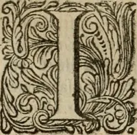 Picture 56 of 100 from Hollands heyll' en rampen ofte desselfs gelukk' en ongelukken : tegens malkanderen vertoond : in twee deelen ... (1686), leaf 337