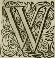 An illustration from Hollands heyll' en rampen ofte desselfs gelukk' en ongelukken : tegens malkanderen vertoond : in twee deelen ... (1686)