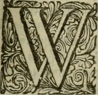 An illustration from Hollands heyll' en rampen ofte desselfs gelukk' en ongelukken : tegens malkanderen vertoond : in twee deelen ... (1686)