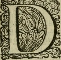 An illustration from Hollands heyll' en rampen ofte desselfs gelukk' en ongelukken : tegens malkanderen vertoond : in twee deelen ... (1686)