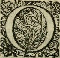 An illustration from Hollands heyll' en rampen ofte desselfs gelukk' en ongelukken : tegens malkanderen vertoond : in twee deelen ... (1686)