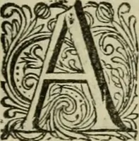An illustration from Hollands heyll' en rampen ofte desselfs gelukk' en ongelukken : tegens malkanderen vertoond : in twee deelen ... (1686)