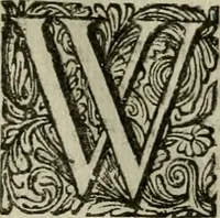 An illustration from Hollands heyll' en rampen ofte desselfs gelukk' en ongelukken : tegens malkanderen vertoond : in twee deelen ... (1686)