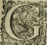 An illustration from Hollands heyll' en rampen ofte desselfs gelukk' en ongelukken : tegens malkanderen vertoond : in twee deelen ... (1686)