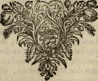 An illustration from Hollands heyll' en rampen ofte desselfs gelukk' en ongelukken : tegens malkanderen vertoond : in twee deelen ... (1686)