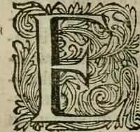 An illustration from Hollands heyll' en rampen ofte desselfs gelukk' en ongelukken : tegens malkanderen vertoond : in twee deelen ... (1686)