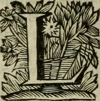 An illustration from Hollands heyll' en rampen ofte desselfs gelukk' en ongelukken : tegens malkanderen vertoond : in twee deelen ... (1686)