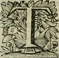 An illustration from Hollands heyll' en rampen ofte desselfs gelukk' en ongelukken : tegens malkanderen vertoond : in twee deelen ... (1686)
