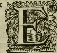 Picture 70 of 100 from Hollands heyll' en rampen ofte desselfs gelukk' en ongelukken : tegens malkanderen vertoond : in twee deelen ... (1686), leaf 496