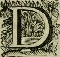 Picture 8 of 100 from Hollands heyll' en rampen ofte desselfs gelukk' en ongelukken : tegens malkanderen vertoond : in twee deelen ... (1686), leaf 50