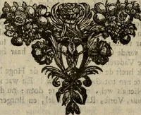 An illustration from Hollands heyll' en rampen ofte desselfs gelukk' en ongelukken : tegens malkanderen vertoond : in twee deelen ... (1686)