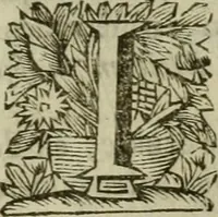 An illustration from Hollands heyll' en rampen ofte desselfs gelukk' en ongelukken : tegens malkanderen vertoond : in twee deelen ... (1686)