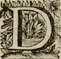 Picture 75 of 100 from Hollands heyll' en rampen ofte desselfs gelukk' en ongelukken : tegens malkanderen vertoond : in twee deelen ... (1686), leaf 555