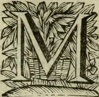 An illustration from Hollands heyll' en rampen ofte desselfs gelukk' en ongelukken : tegens malkanderen vertoond : in twee deelen ... (1686)