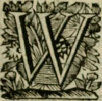 An illustration from Hollands heyll' en rampen ofte desselfs gelukk' en ongelukken : tegens malkanderen vertoond : in twee deelen ... (1686)