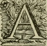 An illustration from Hollands heyll' en rampen ofte desselfs gelukk' en ongelukken : tegens malkanderen vertoond : in twee deelen ... (1686)