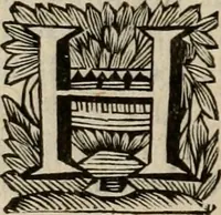 An illustration from Hollands heyll' en rampen ofte desselfs gelukk' en ongelukken : tegens malkanderen vertoond : in twee deelen ... (1686)