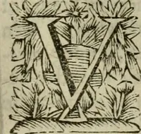 An illustration from Hollands heyll' en rampen ofte desselfs gelukk' en ongelukken : tegens malkanderen vertoond : in twee deelen ... (1686)