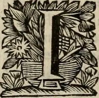 Picture 11 of 100 from Hollands heyll' en rampen ofte desselfs gelukk' en ongelukken : tegens malkanderen vertoond : in twee deelen ... (1686), leaf 61