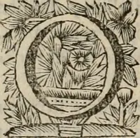 An illustration from Hollands heyll' en rampen ofte desselfs gelukk' en ongelukken : tegens malkanderen vertoond : in twee deelen ... (1686)
