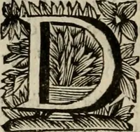 An illustration from Hollands heyll' en rampen ofte desselfs gelukk' en ongelukken : tegens malkanderen vertoond : in twee deelen ... (1686)