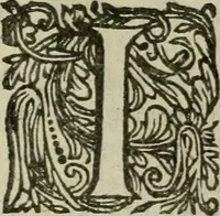An illustration from Hollands heyll' en rampen ofte desselfs gelukk' en ongelukken : tegens malkanderen vertoond : in twee deelen ... (1686)