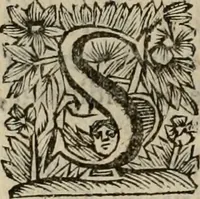 An illustration from Hollands heyll' en rampen ofte desselfs gelukk' en ongelukken : tegens malkanderen vertoond : in twee deelen ... (1686)