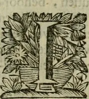 Picture 88 of 100 from Hollands heyll' en rampen ofte desselfs gelukk' en ongelukken : tegens malkanderen vertoond : in twee deelen ... (1686), leaf 688