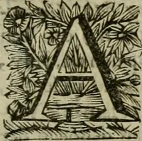 An illustration from Hollands heyll' en rampen ofte desselfs gelukk' en ongelukken : tegens malkanderen vertoond : in twee deelen ... (1686)