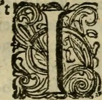 An illustration from Hollands heyll' en rampen ofte desselfs gelukk' en ongelukken : tegens malkanderen vertoond : in twee deelen ... (1686)
