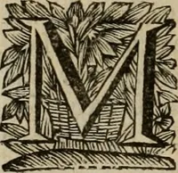 Picture 91 of 100 from Hollands heyll' en rampen ofte desselfs gelukk' en ongelukken : tegens malkanderen vertoond : in twee deelen ... (1686), leaf 705