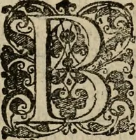 An illustration from Hollands heyll' en rampen ofte desselfs gelukk' en ongelukken : tegens malkanderen vertoond : in twee deelen ... (1686)
