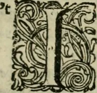 An illustration from Hollands heyll' en rampen ofte desselfs gelukk' en ongelukken : tegens malkanderen vertoond : in twee deelen ... (1686)