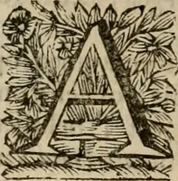 An illustration from Hollands heyll' en rampen ofte desselfs gelukk' en ongelukken : tegens malkanderen vertoond : in twee deelen ... (1686)