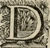 Picture 15 of 100 from Hollands heyll' en rampen ofte desselfs gelukk' en ongelukken : tegens malkanderen vertoond : in twee deelen ... (1686), leaf 75
