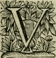 An illustration from Hollands heyll' en rampen ofte desselfs gelukk' en ongelukken : tegens malkanderen vertoond : in twee deelen ... (1686)