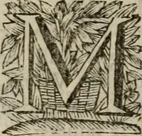 Picture 94 of 100 from Hollands heyll' en rampen ofte desselfs gelukk' en ongelukken : tegens malkanderen vertoond : in twee deelen ... (1686), leaf 795