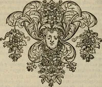 An illustration from Hollands heyll' en rampen ofte desselfs gelukk' en ongelukken : tegens malkanderen vertoond : in twee deelen ... (1686)