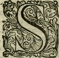 An illustration from Hollands heyll' en rampen ofte desselfs gelukk' en ongelukken : tegens malkanderen vertoond : in twee deelen ... (1686)