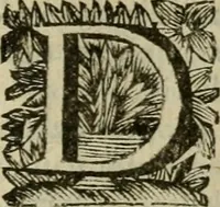 An illustration from Hollands heyll' en rampen ofte desselfs gelukk' en ongelukken : tegens malkanderen vertoond : in twee deelen ... (1686)