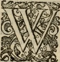An illustration from Hollands heyll' en rampen ofte desselfs gelukk' en ongelukken : tegens malkanderen vertoond : in twee deelen ... (1686)