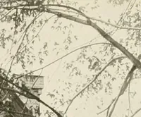 Picture 52 of 73 from Hollow tile for the home. (1920), leaf 34