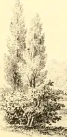 An illustration from Holly's country seats: containing lithographic designs for cottages, villas, mansions, etc., with their accompanying outbuildings; also, country churches, city buildings, railway stations, etc., etc (1863)