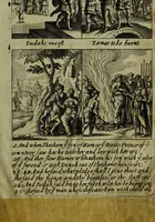 Picture 31 of 173 from The Holy Bible : containing the Old Testament and the New (1671), leaf 350