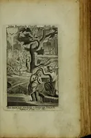 An illustration from The Holy Bible : containing the Old Testament and the New (1671)