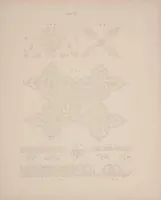 An illustration from The holy carpet of the mosque at Ardebil (1893)