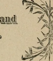 An illustration from The home beyond, or, Views of heaven and its relation to earth (1898)